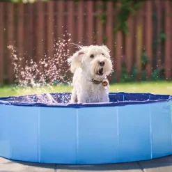 Active Canis Dog Pool | 100X30 cm