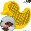 AFP Aktivitets BadeAnd | Slikkeplade