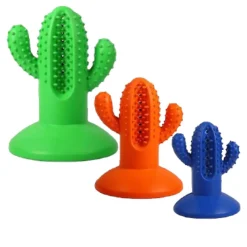 AFP Dental Cactus