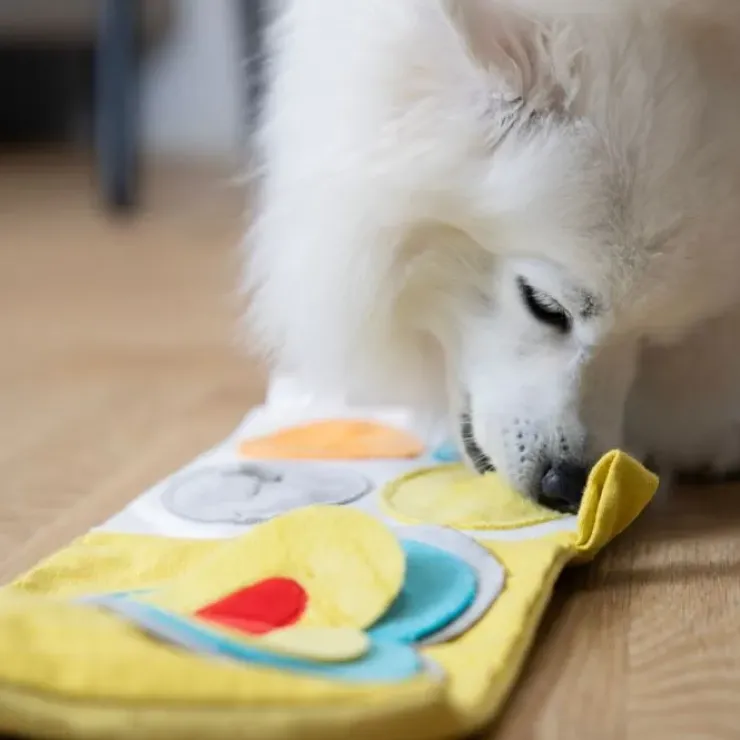 AFP Hvalpeaktivitetsbog | Puppy Nose Work