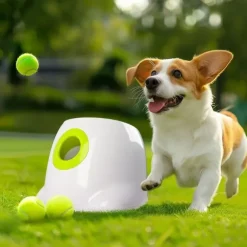 AFP Interactives | Mini Ball Launcher