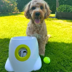 AFP Interactives | Mini Ball Launcher