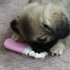 AFP Little Buddy Happy Chews