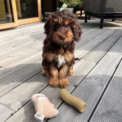AFP Little Buddy legetøjssæt