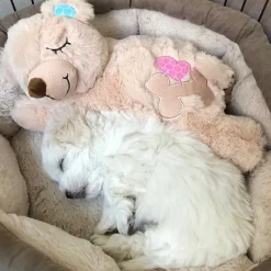 AFP Little Buddy Warm Bear