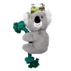AFP Safari Kevin Koala m. reb