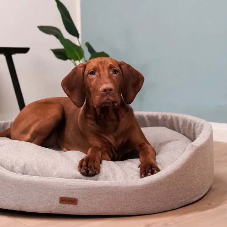 Amiplay Oval Hundeseng | Color