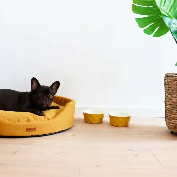 Amiplay Oval Hundeseng | Color