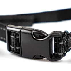 Anti-Bark USB | Anti-gø-halsbånd