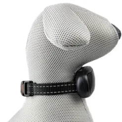 Anti-Bark USB | Anti-gø-halsbånd