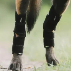 Back on Track Dixie Hasebandage