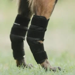 Back on Track Dixie Hasebandage