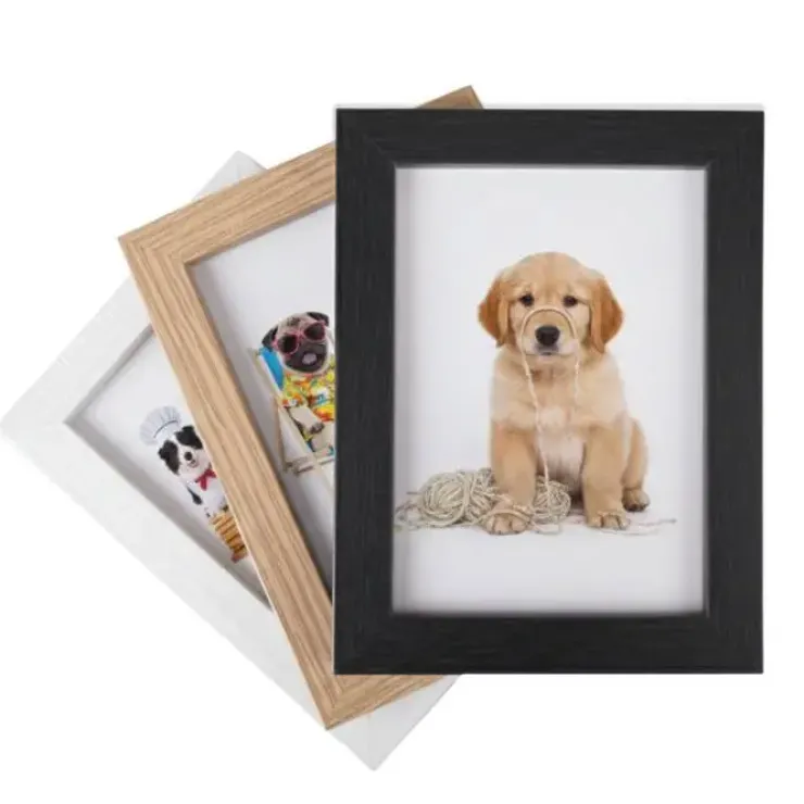 Billedramme til PawPrint | Flere farver