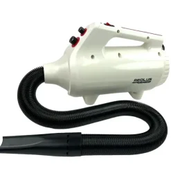 Blower Aeolus Nebula