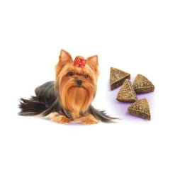 Brit Care Dog Mini Treats, Liver Detox | 50g