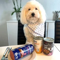 Brit Paté & Meat | Vådfoder