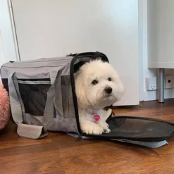 Casual Flytaske | Rejsetaske