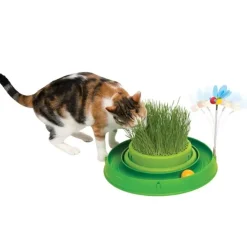 Catit Play'N Scratch med kattegræs