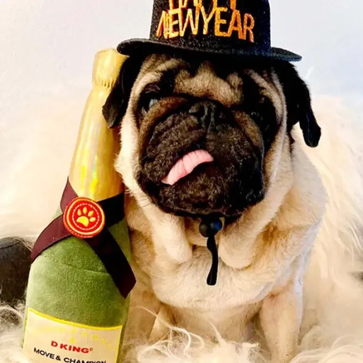Champagneflaske i plys | OUTLET