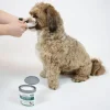 Clean Teeth Finger Pads | Vet's Best