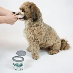 Clean Teeth Finger Pads | Vet's Best