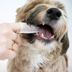 Clean Teeth Finger Pads | Vet's Best