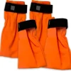 Companion hundesokker | Orange