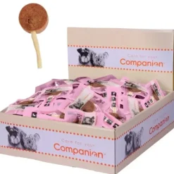 Companion Lollipop And | 60 stk. STORKØB