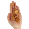 Companion Rabbit Coin | 80g