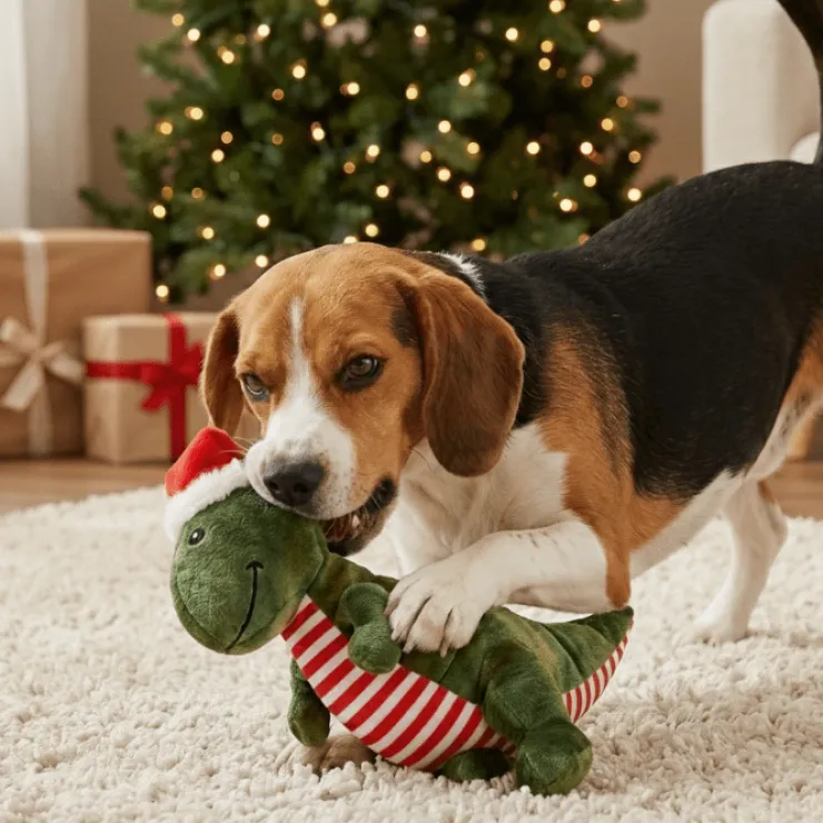 Companion X'mas festival dinosaur