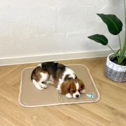 CoolPets Premium Kølemåtte | Citronella og Eukaluptus