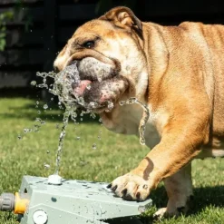 CoolPets Splash Water Fountain | Olivengrøn