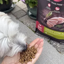 CORE Adult Low Fat - Small Breed | Tørfoder