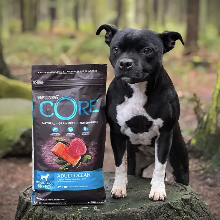 CORE Adult Ocean - Medium/Large Breed | Tørfoder