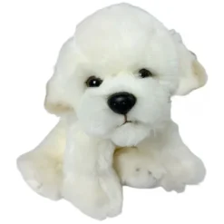 Coton de Tulear /Bichon Frise bamse/Ollie