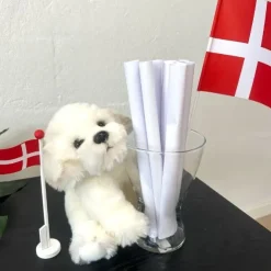Coton de Tulear /Bichon Frise bamse/Ollie