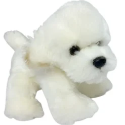 Coton de Tulear /Bichon Frise bamse/Ollie