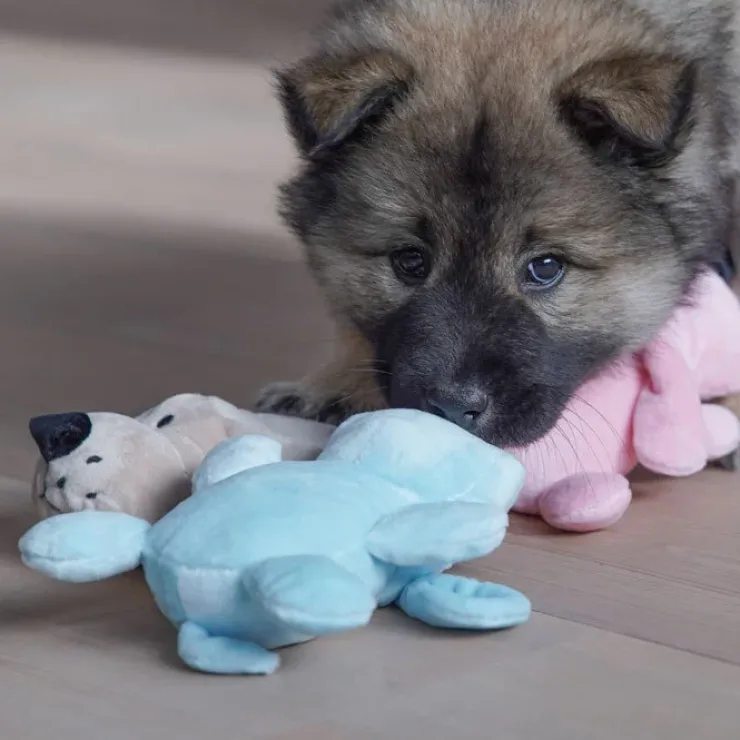 Cuddly Dog Mini Dogs med piv
