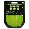 Dog Comets Pallas With Treat Locker