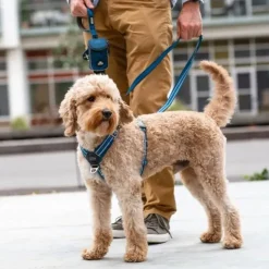 DOG Copenhagen Comfort Walk Air™ selen | Step in