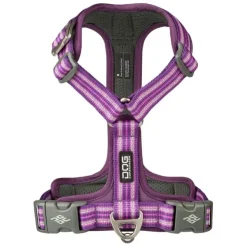 DOG Copenhagen Comfort Walk Air™ selen | Step in