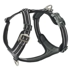 DOG Copenhagen Comfort Walk Air™ selen | Step in