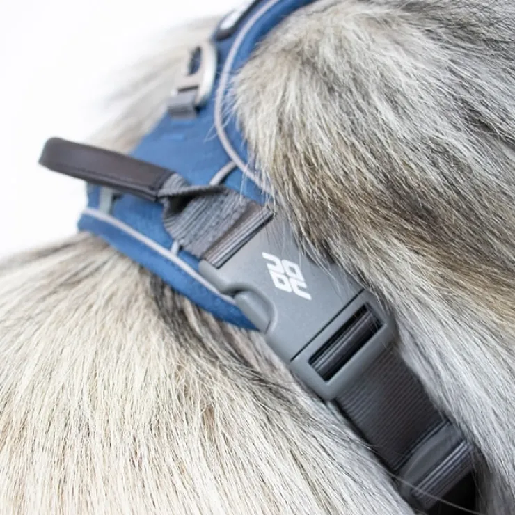 DOG Copenhagen Comfort Walk Pro hundesele