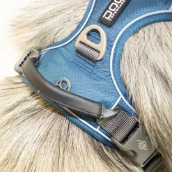 DOG Copenhagen Comfort Walk Pro hundesele