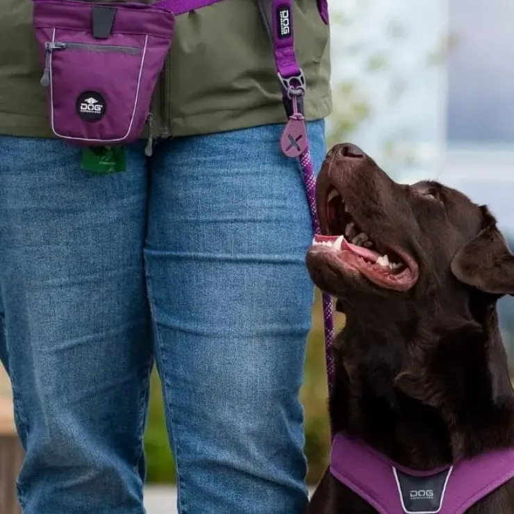 DOG Copenhagen Flexy™ Hundeposeholder