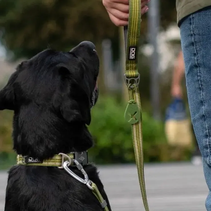 DOG Copenhagen Flexy™ Hundeposeholder