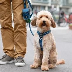DOG Copenhagen Pouch Organizer™ Leash Bag