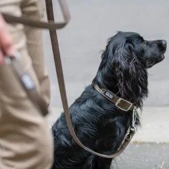 Dog Copenhagen Urban Classic™ Hundehalsbånd