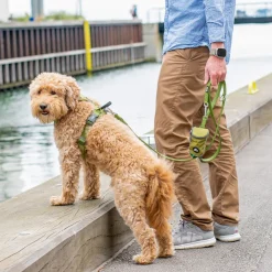 Dog Copenhagen Urban Classic™ Hundesnor