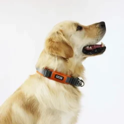 Dog Copenhagen Urban Explorer halsbånd | 2.0 Collar